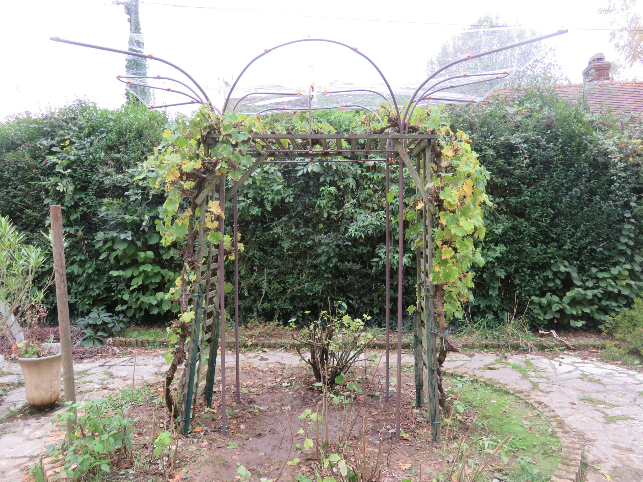 Proto abri transparent face